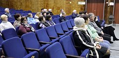 В РДК прошли публичные слушания по инициативному проекту