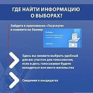 Все о выборах Президента России можно узнать на "Госуслугах"