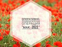 С 12 по 21 сентября 2022 года  в Романовском районе проходит операция «Мак-2022»