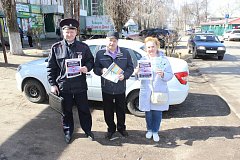 В Балашове общественники провели традиционную экологическую акцию «Оставь цветы весне!»