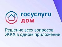 Более 311 тысяч саратовцев пользуются приложением «Госуслуги.Дом»