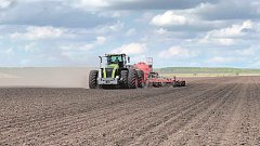 Романовский район в лидерах посевной