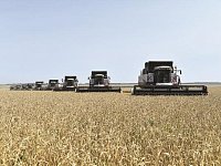 Два миллиона тонн зерна отправили саратовские аграрии в закрома Родины