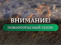 На территории области с 2 апреля устанавливается начало пожароопасного сезона