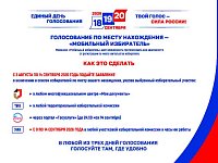 Голосование по месту нахождения