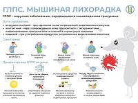 Саратовцам напомнили о мерах профилактики ГЛПС