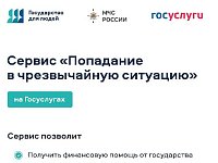 На Едином портале государственных и муниципальных услуг разработан цифровой сервис «Чрезвычайная ситуация»