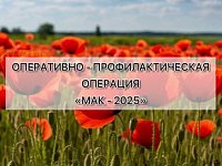 Проведен первый этап операции «МАК-2025»