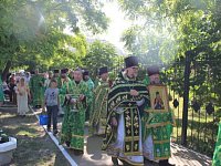 Романовка принимала гостей из 10 районов области в День памяти Святителя Луки