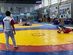 Романовские борцы успешно выступили на турнире