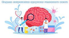 «Освойте нейробику, чаще посещайте музеи, двигайтесь асимметрично»: саратовские врачи рассказали, как сохранить ясность ума