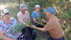 День открытых дверей провели сотрудники КЦСОН