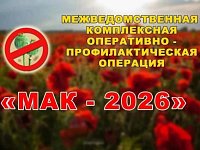 В регионе стартовал третий этап оперативно-профилактической операции «Мак - 2026»