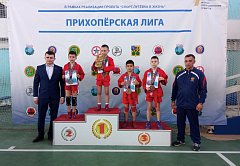Романовские самбисты приняли участие в региональных соревнованиях
