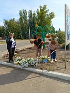 В Романовском районе проходит осенний месячник по благоустройству