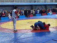 Романовские борцы успешно выступили на турнире