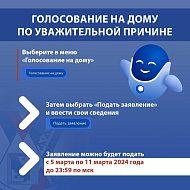 Все о выборах Президента России можно узнать на "Госуслугах"