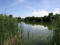 Заказник «Центральный» регионального значения признан законным