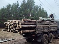 Балашовский лесхоз по просьбе романовцев оказал помощь бойцам СВО