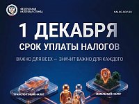 Имущественные налоги физических лиц за 2025 год необходимо оплатить не позднее 1 декабря 2026 года