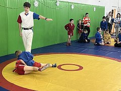 В ДЮСШ состоялся зональный турнир по самбо