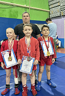 Юные самбисты отличились в Балашове