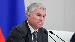 Вячеслав Володин "О домашнем задании школьников Продолжение"
