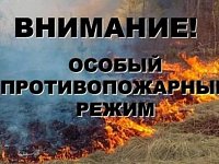 На территории района введен особый противопожарный режим