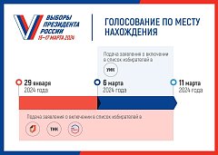 Голосуйте там, где удобно!: начался прием заявлений для голосования по месту нахождения на выборах Президента России